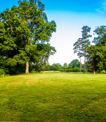 Open Spaces