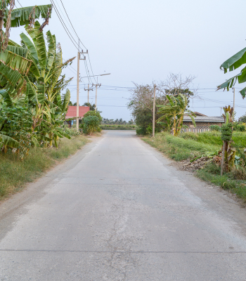 Cement Road